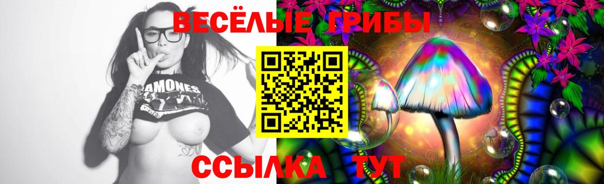 Галлюциногенные грибы прущие грибы Мыски